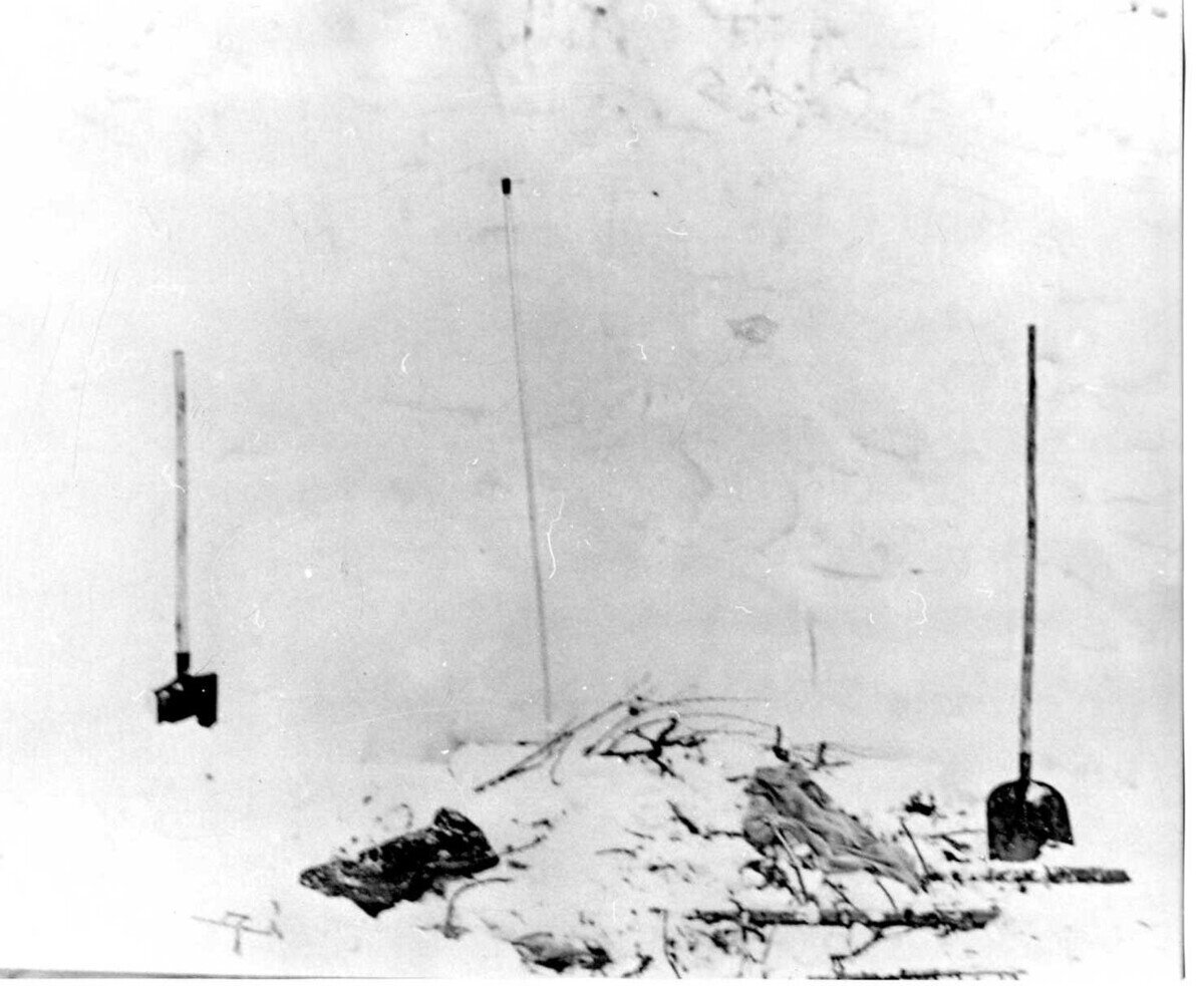 из открытых источников