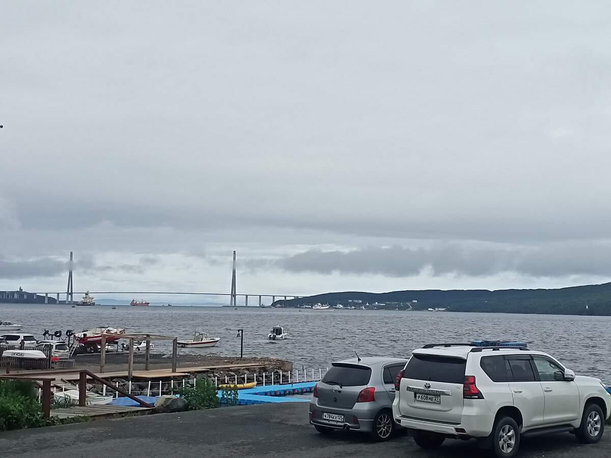 Вид на Русский мост с парковки. 