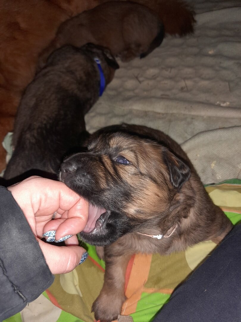 Наследие Веков Бусинка