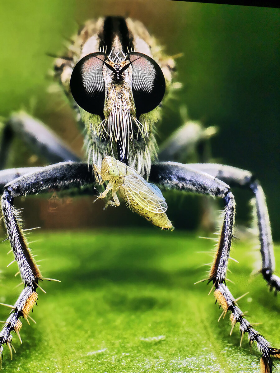 Два пути трансляции и восприятия жизни человеками. Сон сознания и его ...