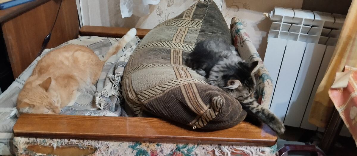 Галерея листается)