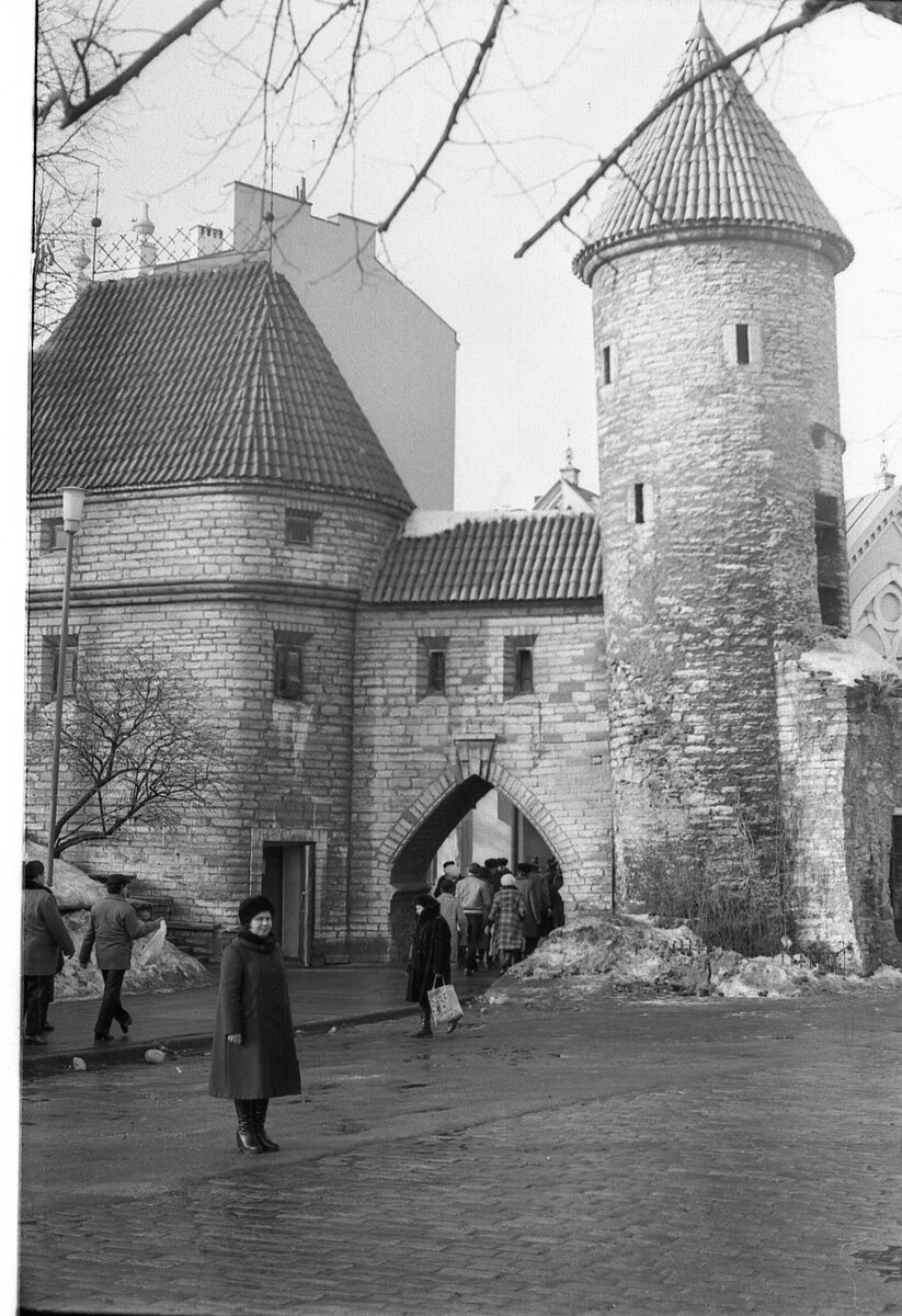 Весна 1982 года