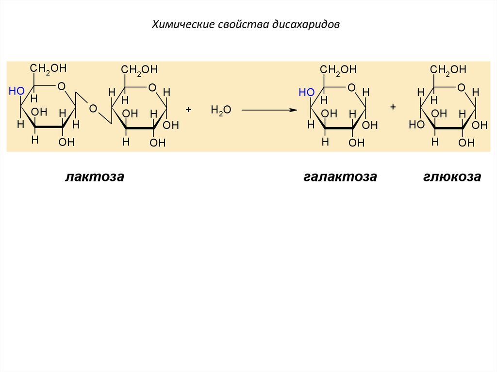 Схема образования лактозы