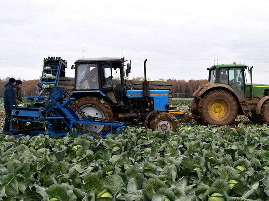     Фото: vk.com/chgsha21