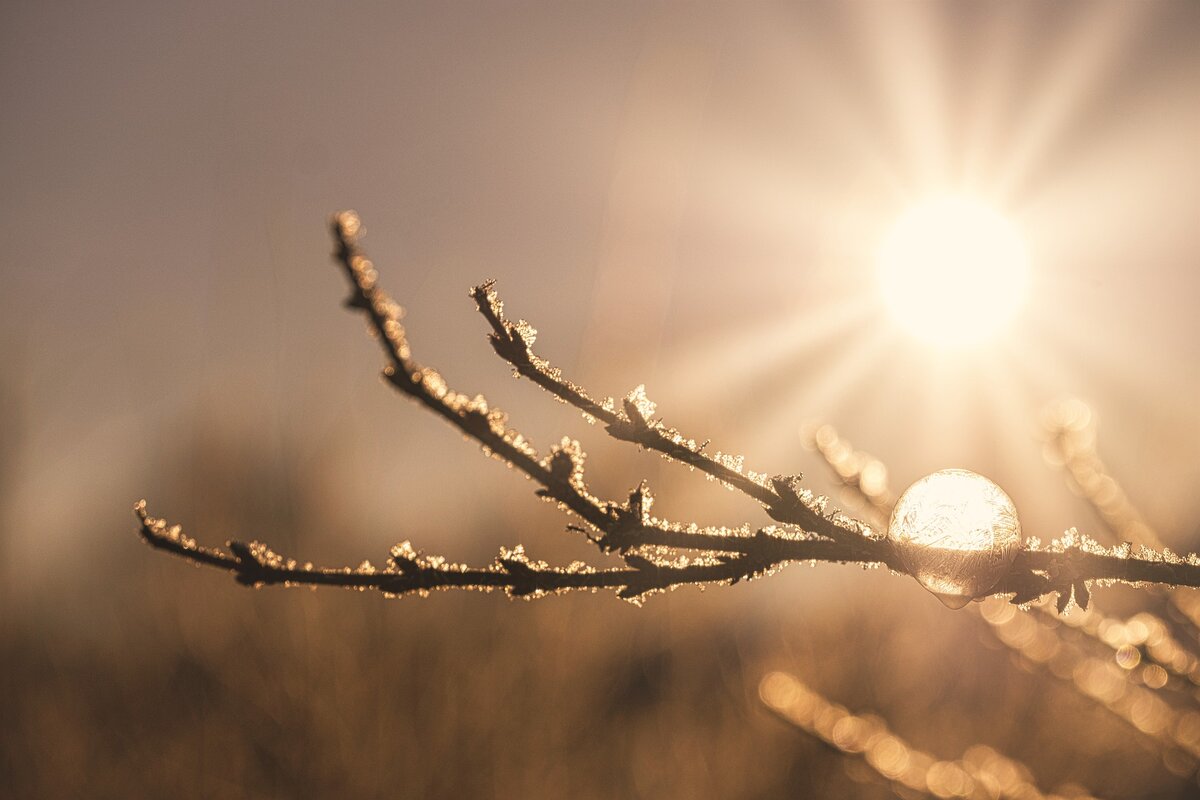 Фото с сайта pinterest.com