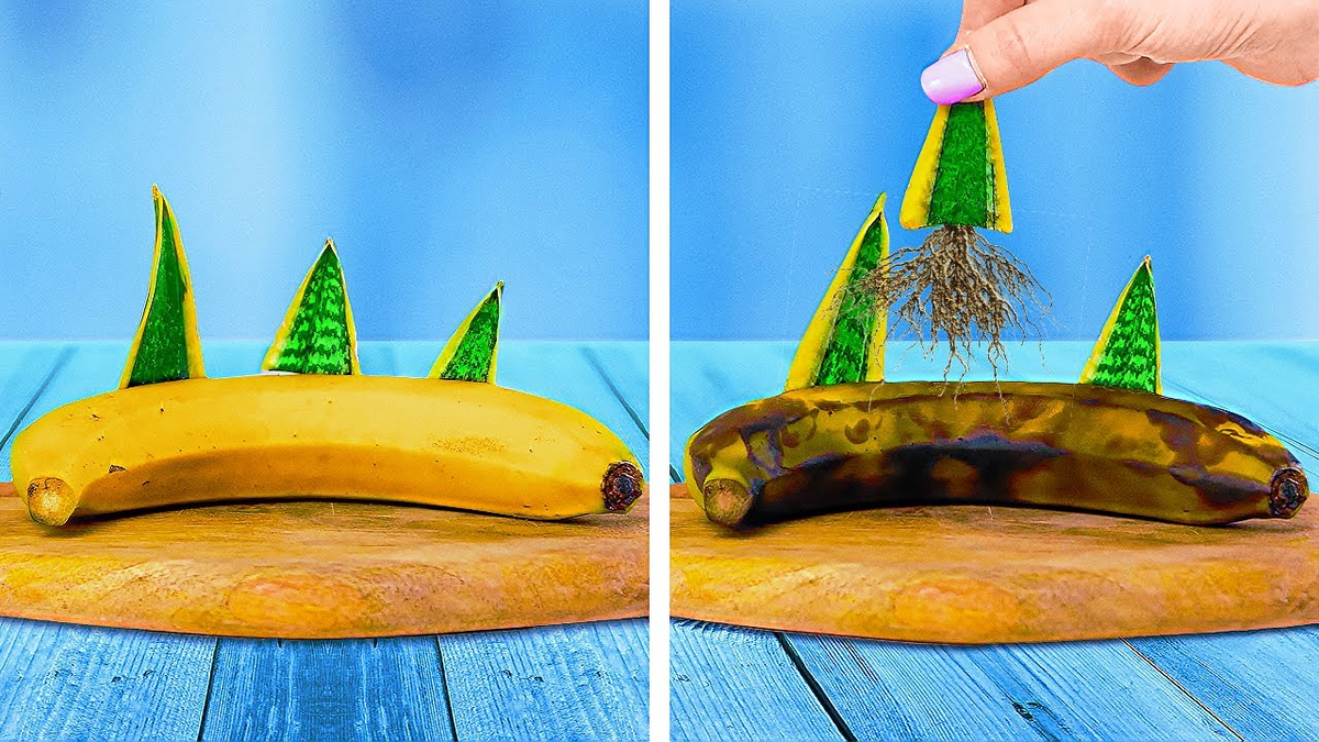 Садовые лайфхаки и полезные советы Часть25