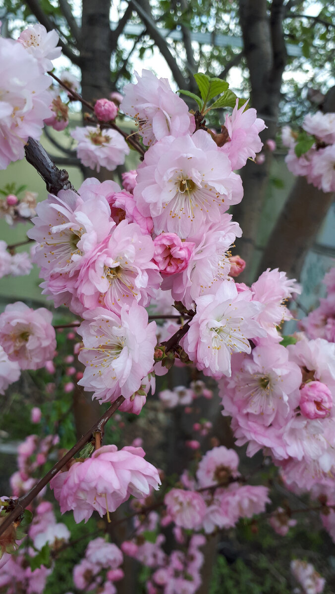 Фото из личного архива