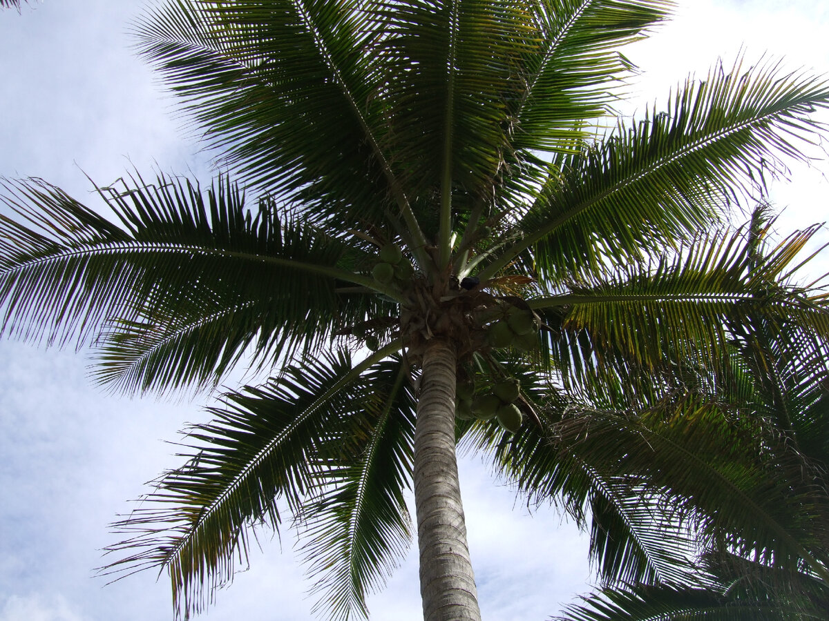 из личного архива