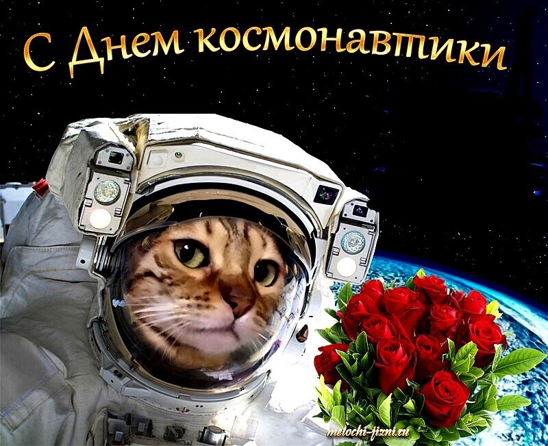 Когда день космонавтиков. С днем космонавтики поздравление. С днем космонавтики открытки. Поздравления с днём космонавтики прикольные. День.