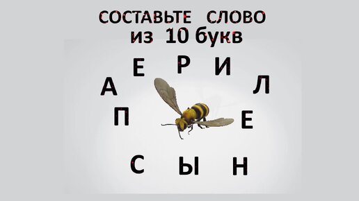 Слово из 5 букв вз