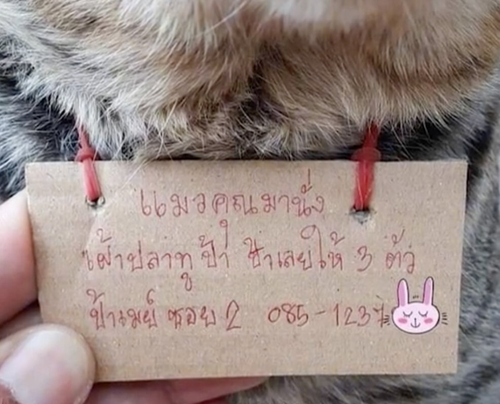 Записка от владелицы рыбного магазина