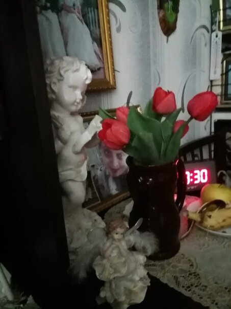  Фото из альбома автора канала.