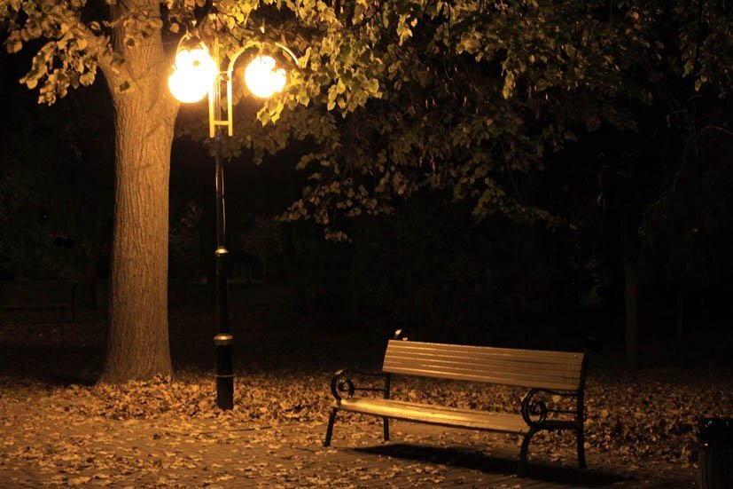 фото из интернета