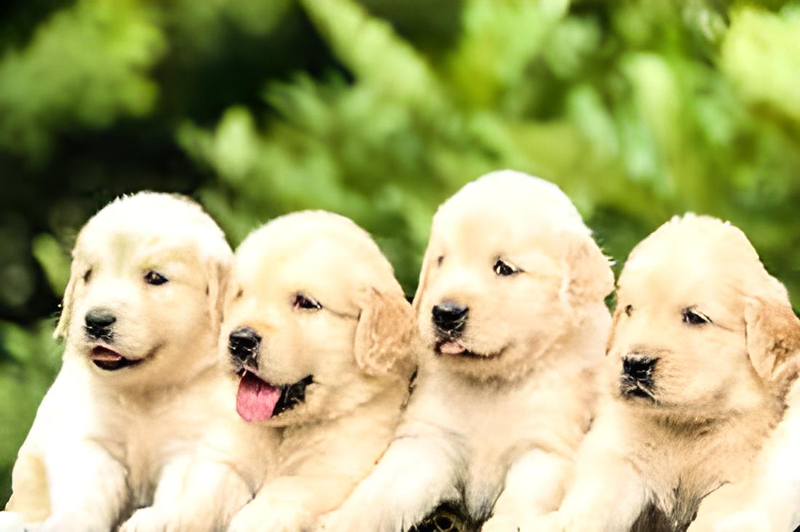 Сезон Близнецов с 21 мая 2023.