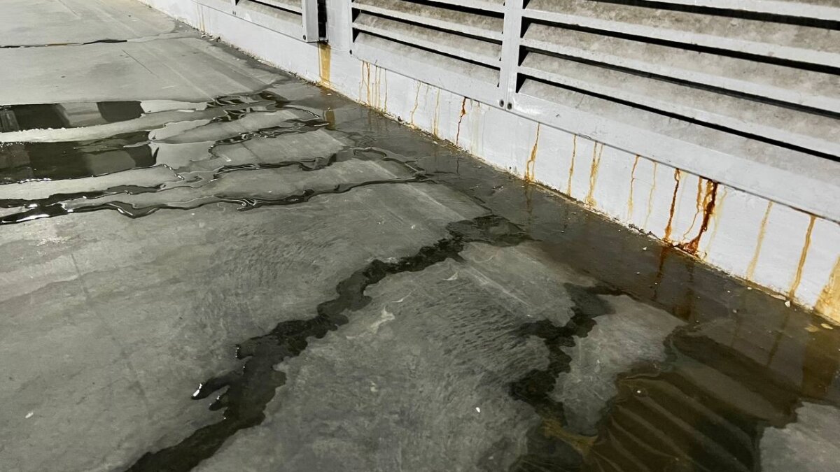 Из личного архива Дениса Маликова📷
