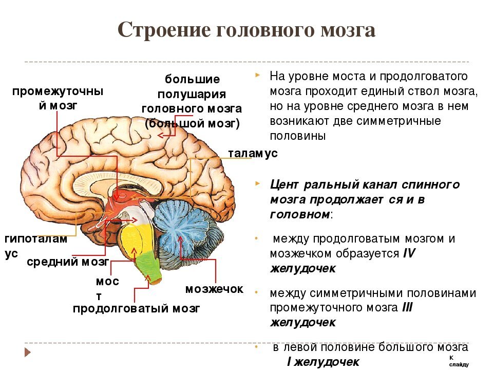 Картинка из интернета.