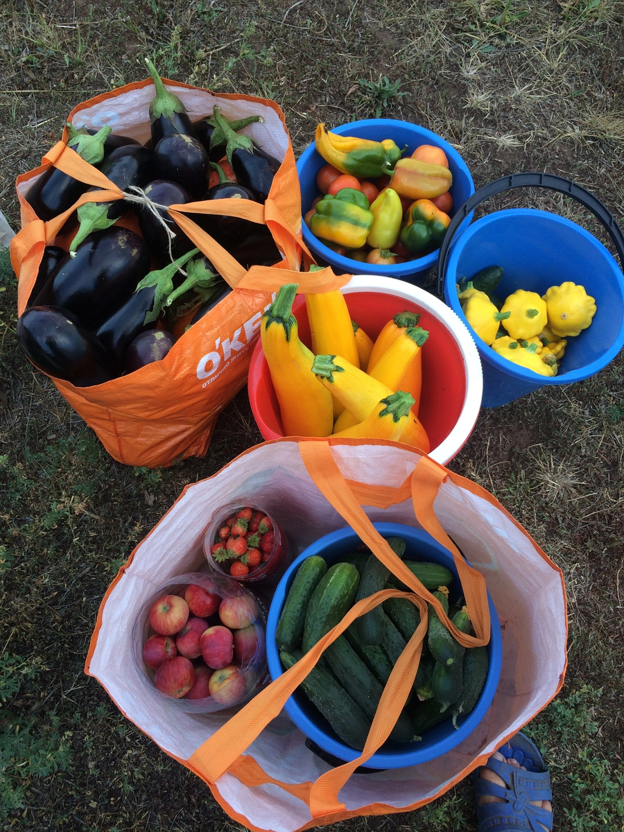 Фото автора