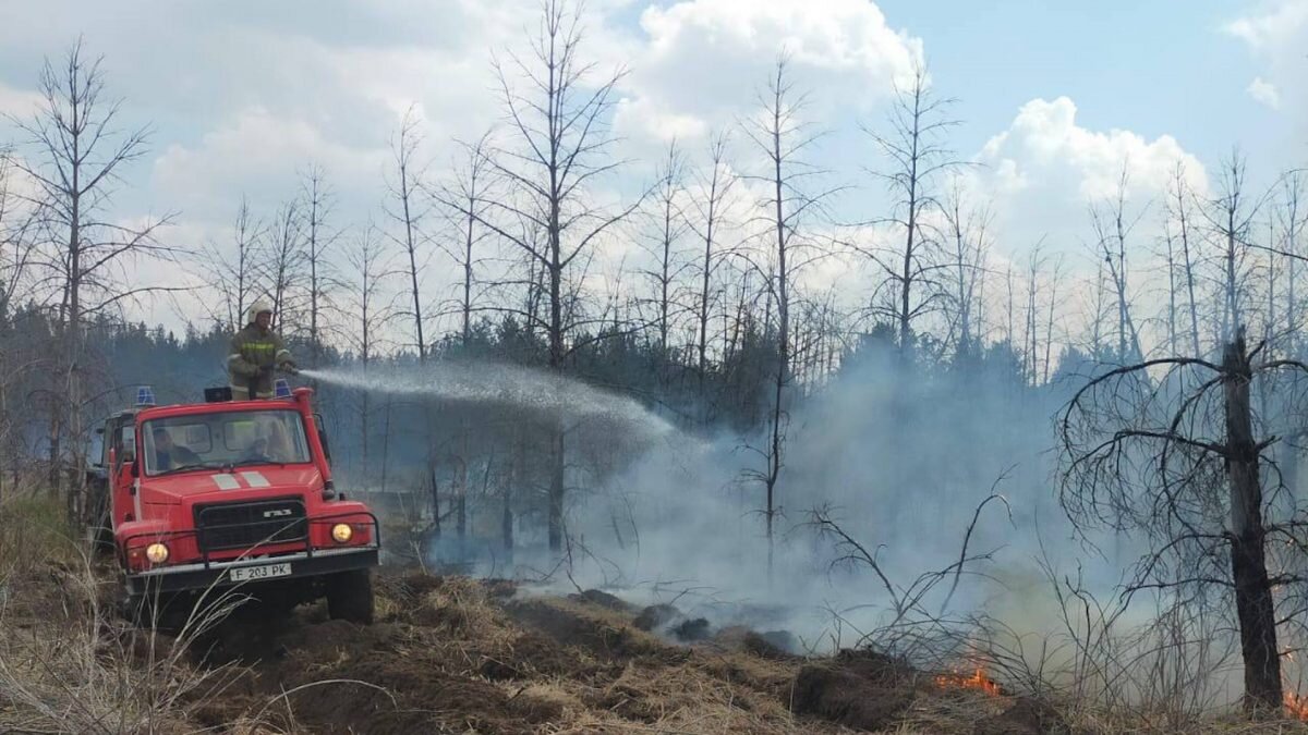 лесные пожары в казахстане