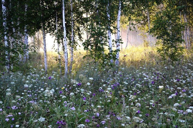 Pinterest.ru