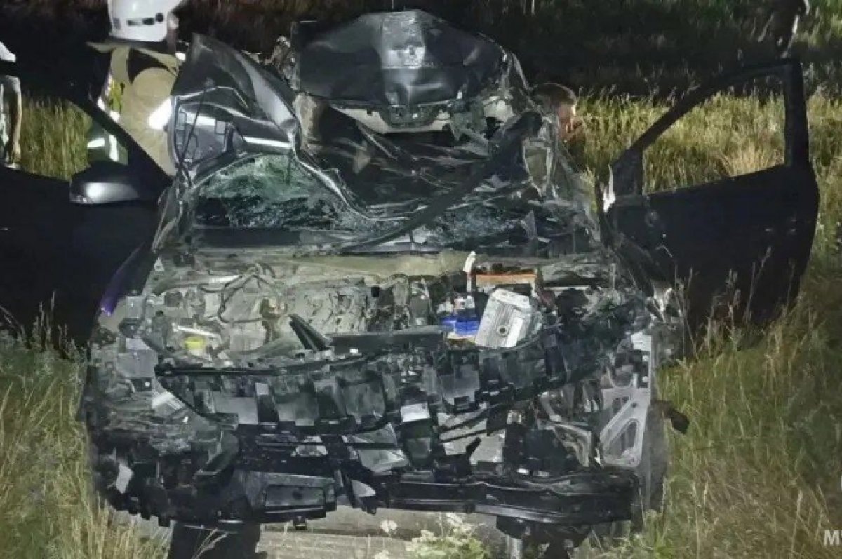    Две легковушки въехали в табун лошадей в Челябинской области