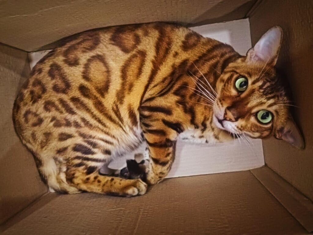    Фото: Амур.инфо