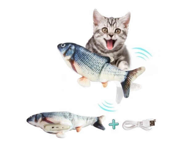 демонстративное фото. Фото из открытых источников