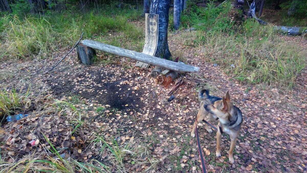 Я знаю толк в запоминании дороги Домой