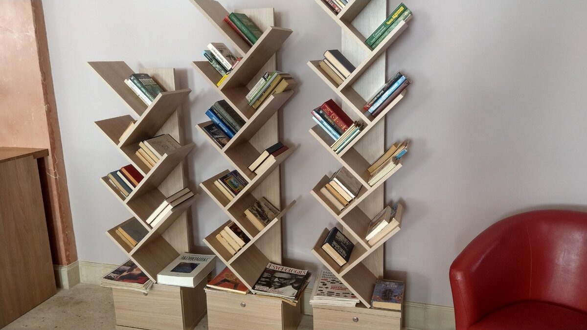 Фото из библиотеки. Фото автора