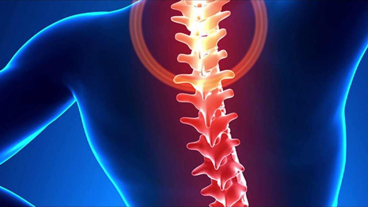 Упражнения для позвоночника