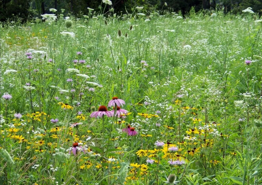 Фото из интернета 