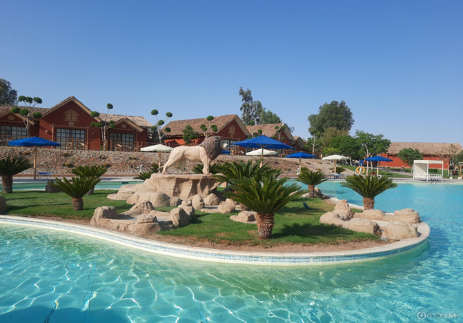 фото из интернета