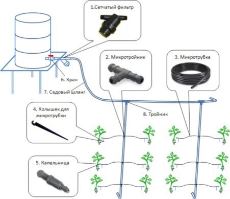 Я собрала систему капельного полива в огороде