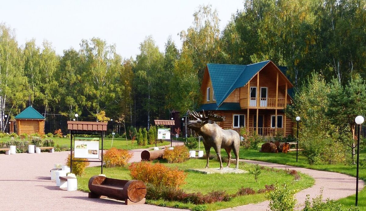 Территория парковой зоны