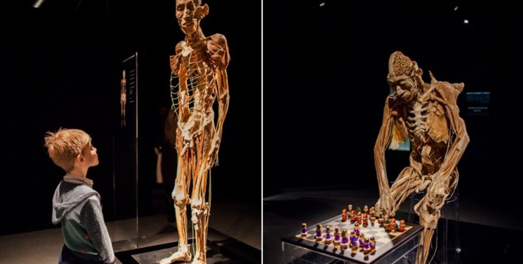 Зачем же детей водить на такие выставки. Этому мальчику даже нет 12 лет.