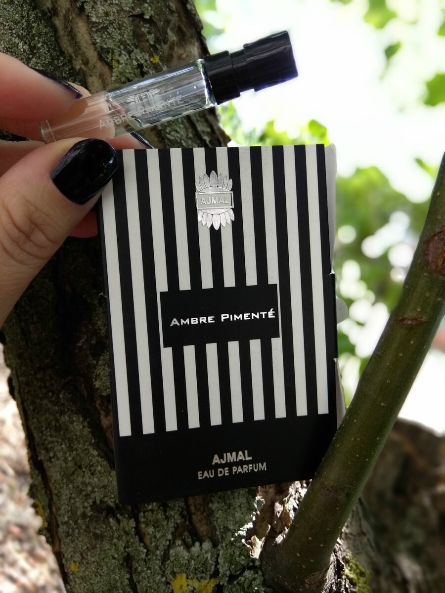 Ajmal Ambre Pimente  - отзыв. Фото автора.