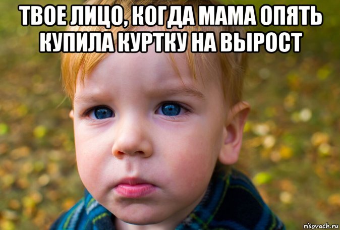 Мэм мой, фото яндекс