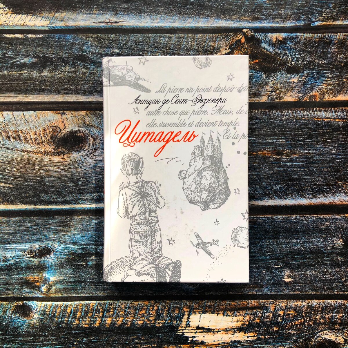 Приходящий книга
