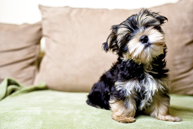 Фото взято из открытого источника.