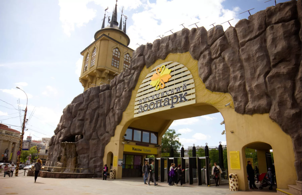 Фото взято из яндекс картинок(да простит меня свободный доступ)