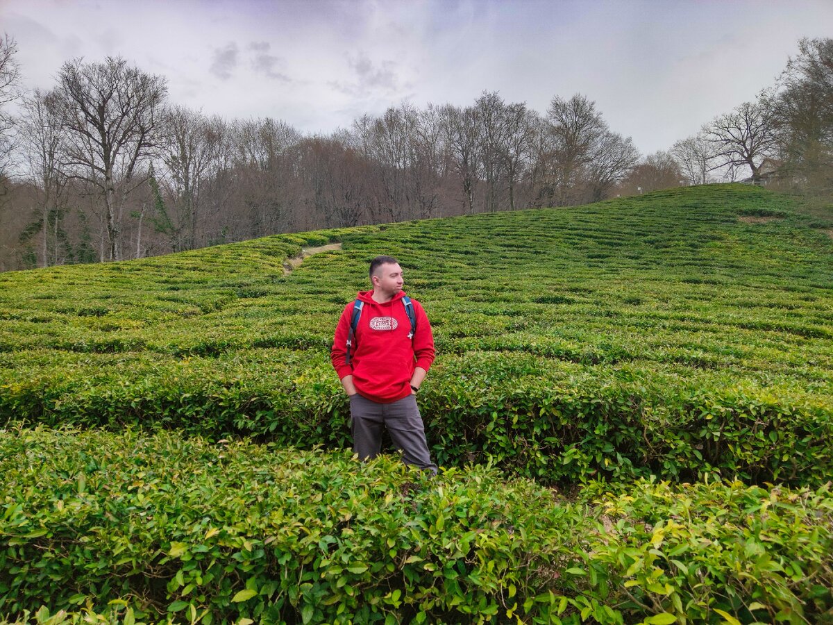 Стою с таким видом, как будто это я владелец плантации