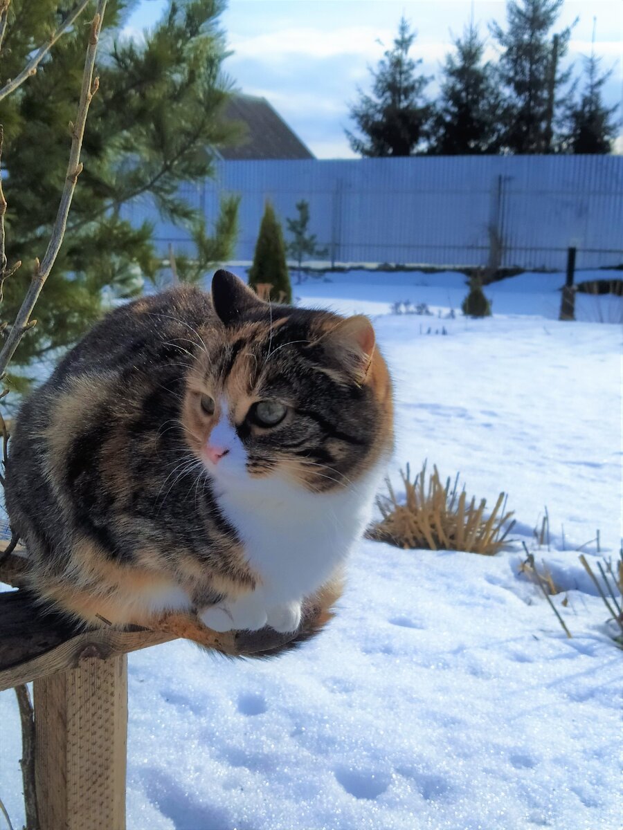 Фото автора