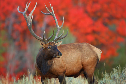 Источник hotwalls.ru 