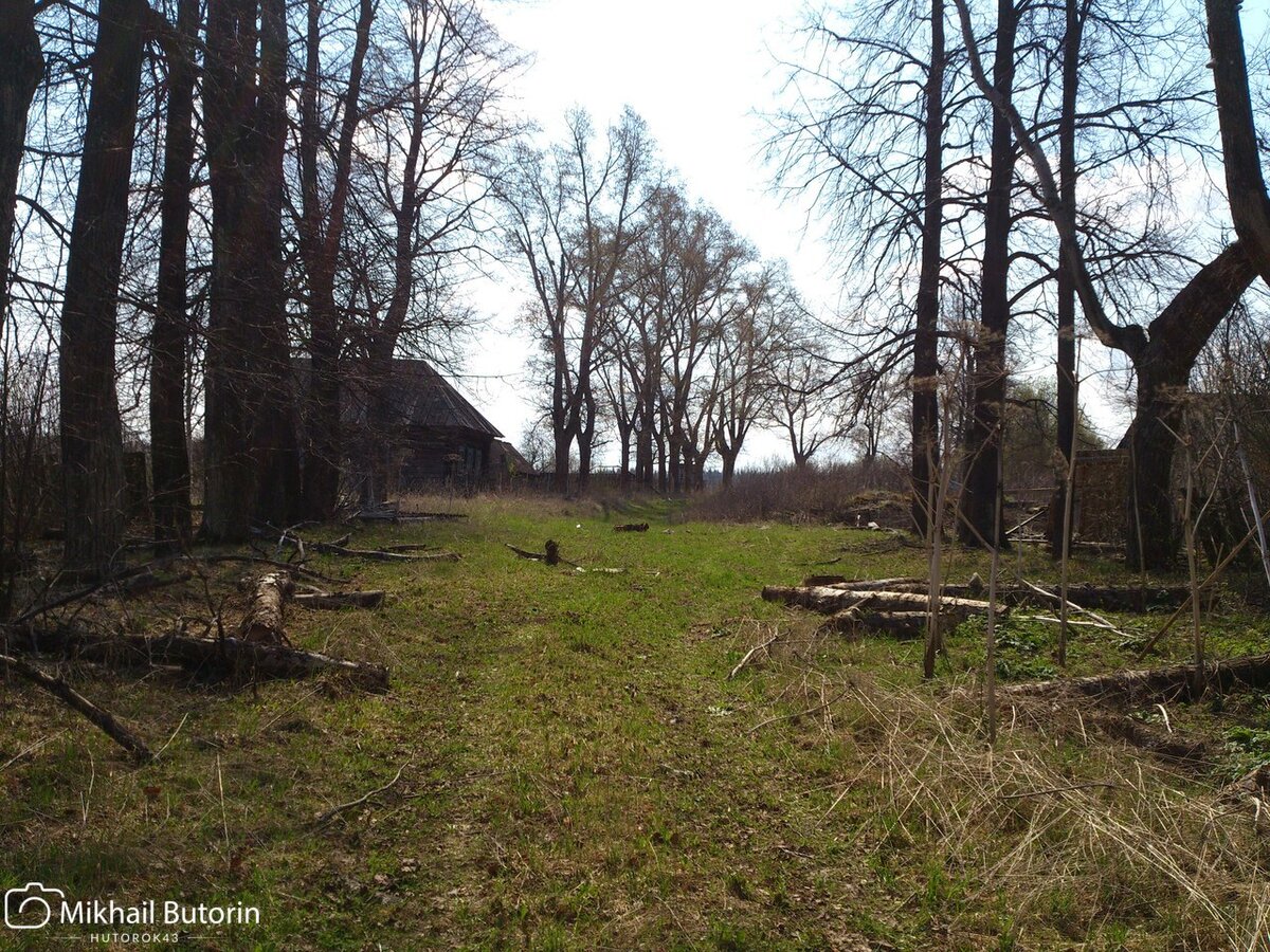 Улица брошенной деревни. 