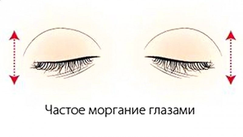 Фото из открытых источников.