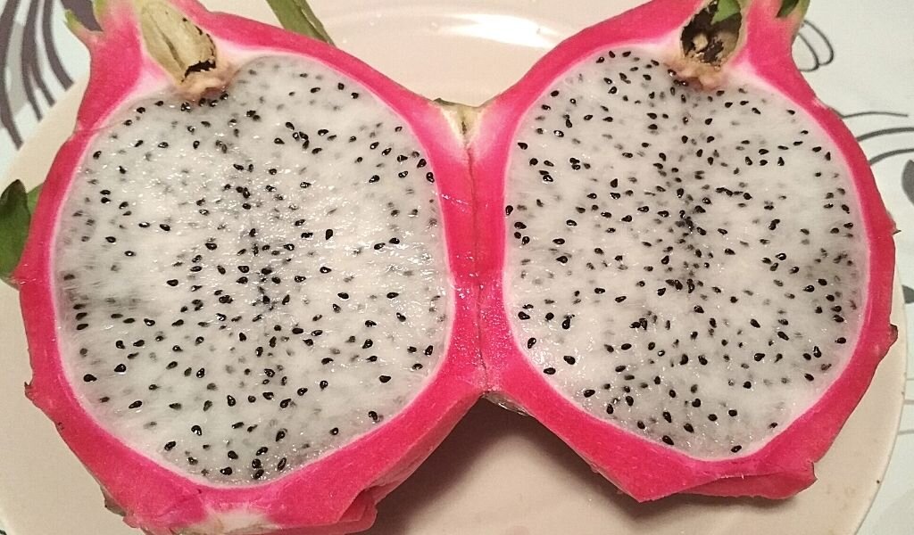 А это точно не токсично? Фото автора