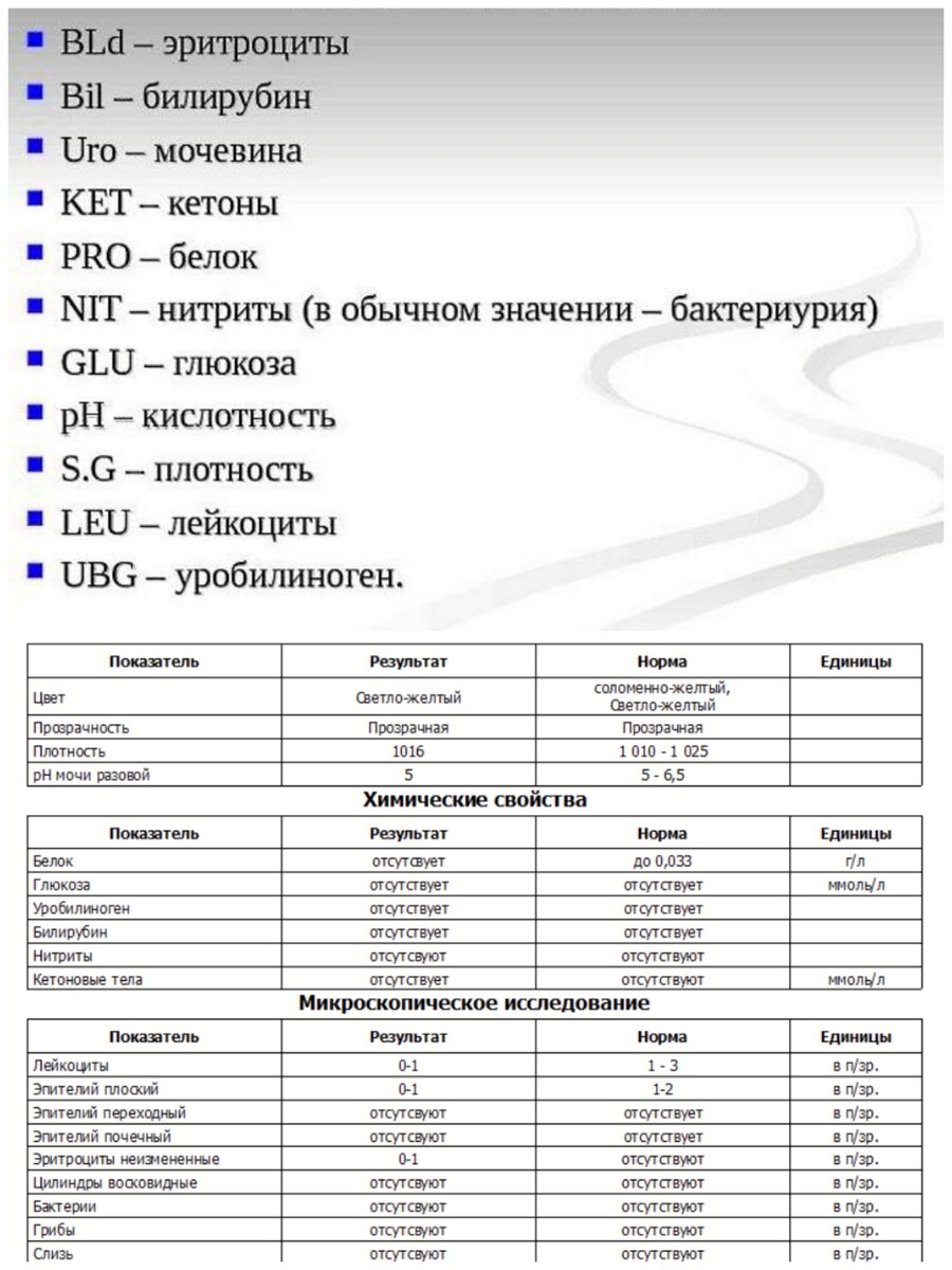 Анализ мочи эритроциты норма. Белок в моче показатели нормы. ОАМ эритроциты норма. Анализ мочи микроскопия норма. Норма анализа мочи у беременных 2 триместр таблица.