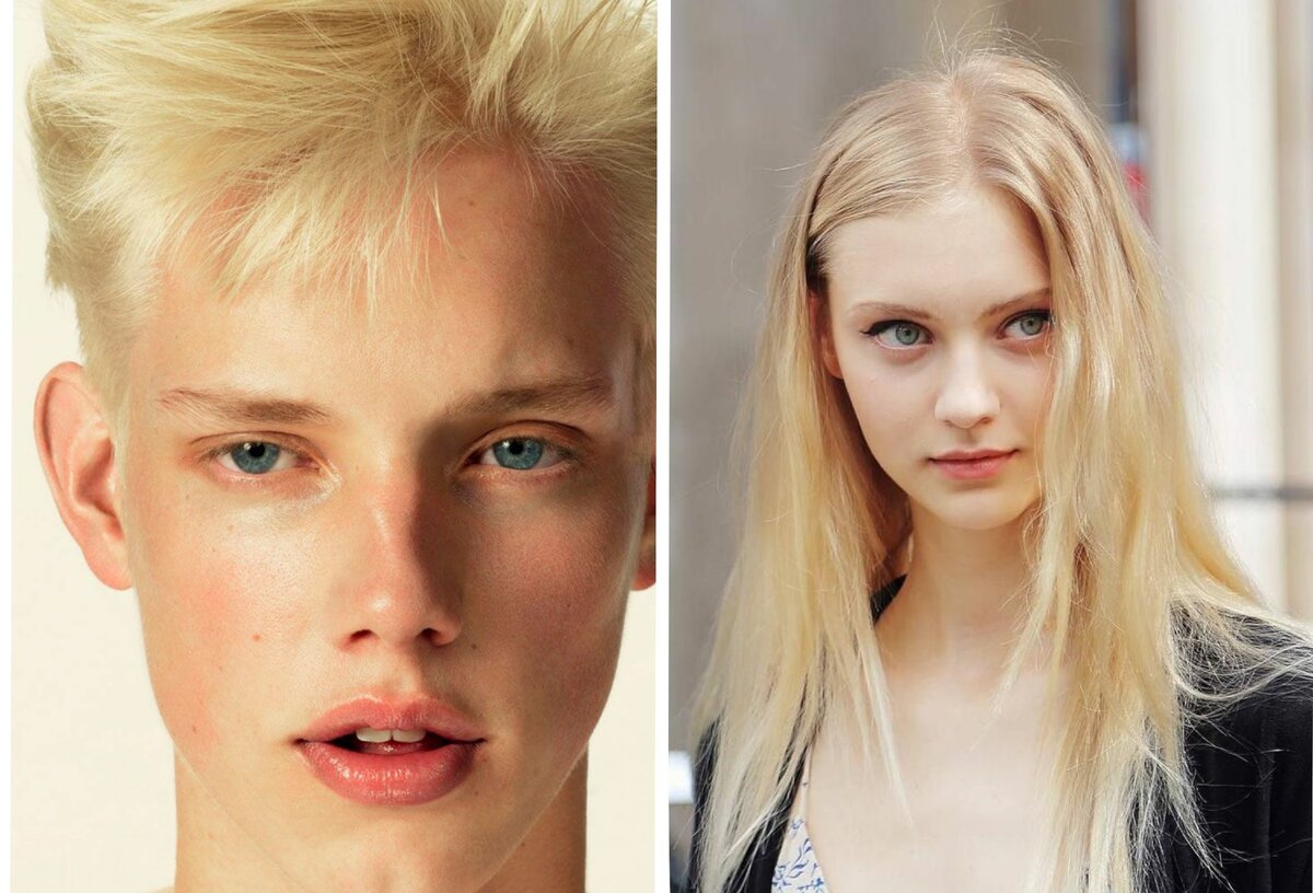 Картинка взята из открытого источника