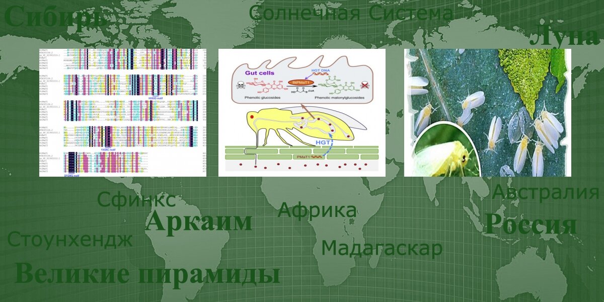 А насекомые - не боятся! И совершенно спокойно делают сами себе генные модификации. И не эволюцией, а путями пересадки себе генов - от растений.