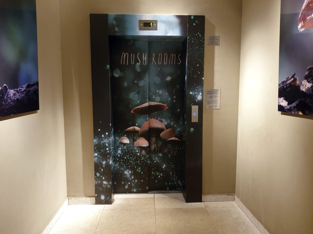 "Mushrooms", ул. Большая Якиманка, 22, лифт