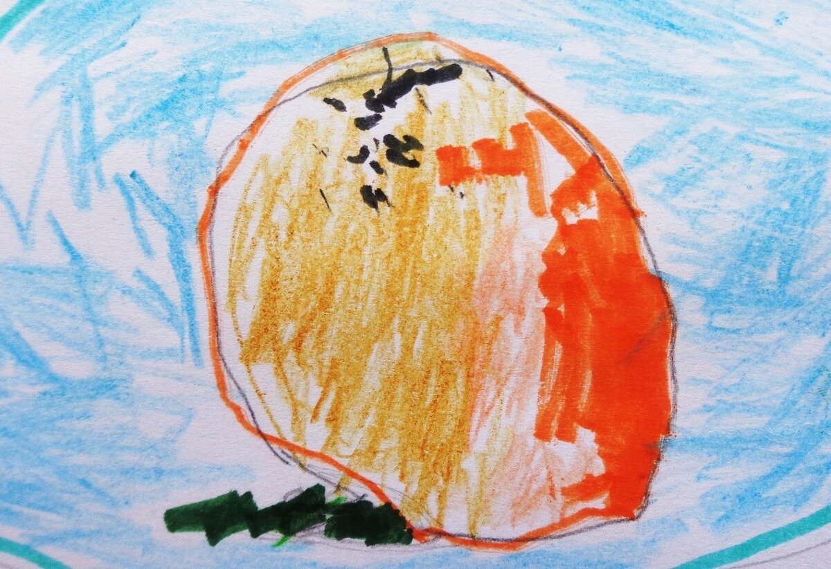 «Хурма – зимнее солнце». Рисунок. Даша. 5 лет. Санкт-Петербург. Из личного фотоархива